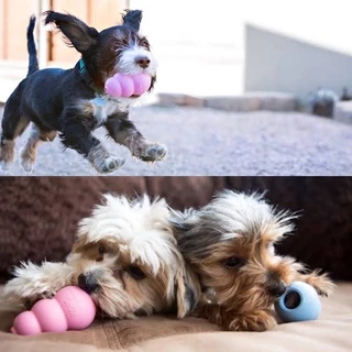 Kong Classic Puppy ของเล่นสัตว์เลี้ยง