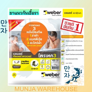 WEBER กาวยาแนว เวเบอร์ คัลเลอร์ พาวเวอร์ ขนาด 1 กก. *สีขาว* PO-111 กาวยาแนวสี ตราตุ๊กแก กาวยาแนวพื้น ป้องกันเชื้อรา