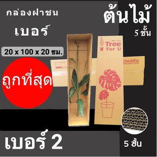 กล่องต้นไม้ กล่องฝาชน เบอร์ 2 ลูกฟูกแน่น 5 ชั้น ( จำนวน 5 ใบ)