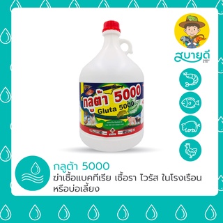 กลูต้า 5000 กลูตารัลดีไฮด์ 50% ฆ่าเชื้อแบคทีเรีย เชื้อรา ไวรัส และโปรโตซัว ป้องกันอาการติดเชื้อ สบายดีซัพพลายแอนด์โค