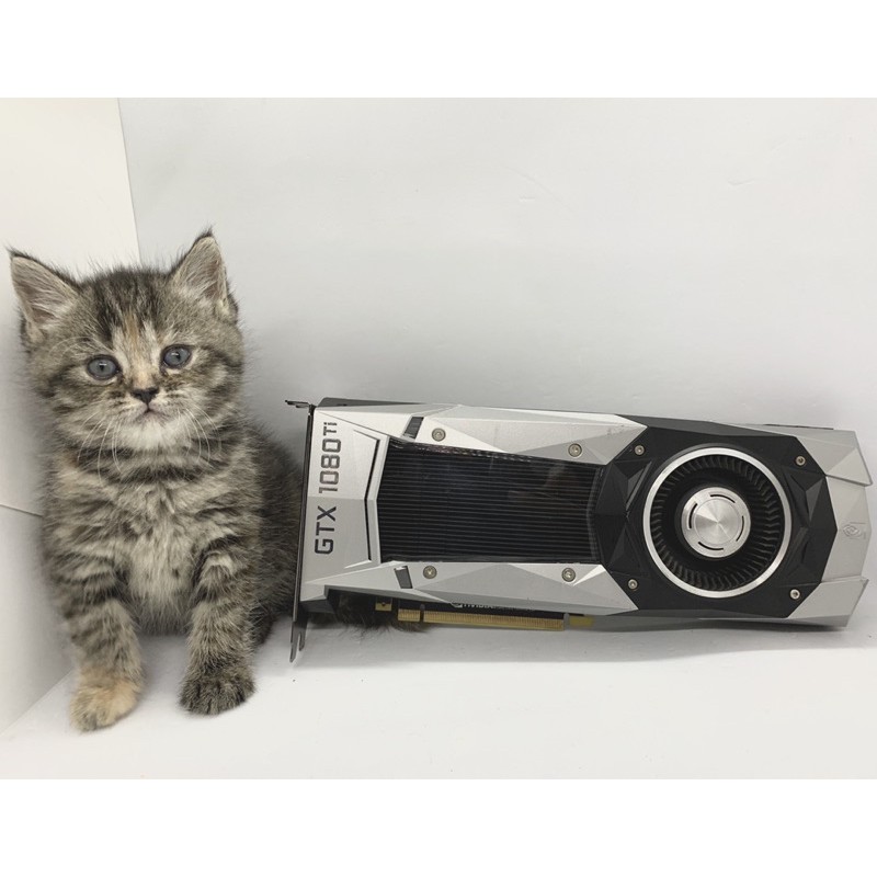 จอ GTX1080TI 11GB ไม่มีกล่อง ทรง ref มีลอยบ้างเล็กน้อย มือ 2