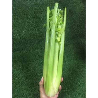 เซเลอรี่สด ปลอดสารพิษ- เซเรอลี่ มีใบรับรองปลอดสาร เซรารี่ เซลารี่ Celery ผักสด ขึ้นฉ่ายฝรั่ง ขึ้นช่ายฝรั่ง