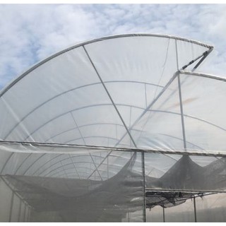 พลาสติกใส 100 ไมครอน หน้ากว้าง 3 x 15 เมตร. AntiUV 3%