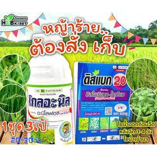 ชุดเก็บหญ้าดื้อยา โกลอะนิล+ดิสแบค20 500ซีซี+100กรัม (อะนิโลฟอส+บิสไพรีแบคโซเดี่ยม) เก็บหญ้าในนาข้าว20-40วัน