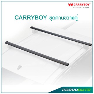 Carryboy ชุดคานขวางคู่ (สีเงิน/สีดำ) ขนาด 135 ซม.