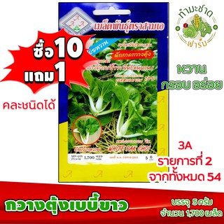 (ซื้อ10แถม1) เมล็ดพันธุ์ กวางตุ้ง เบบี้ขาว White Pak Choy ประมาณ 1,900เมล็ด 3A สามเอ บ๊อกฉ่อย บ็อกฉ่อย ผักสวนครัว