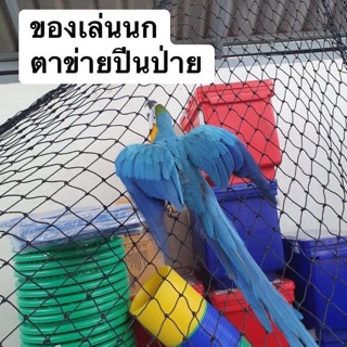 ของเล่นนก 🦜 ตาข่ายปีนป่าย สำหรับออกก