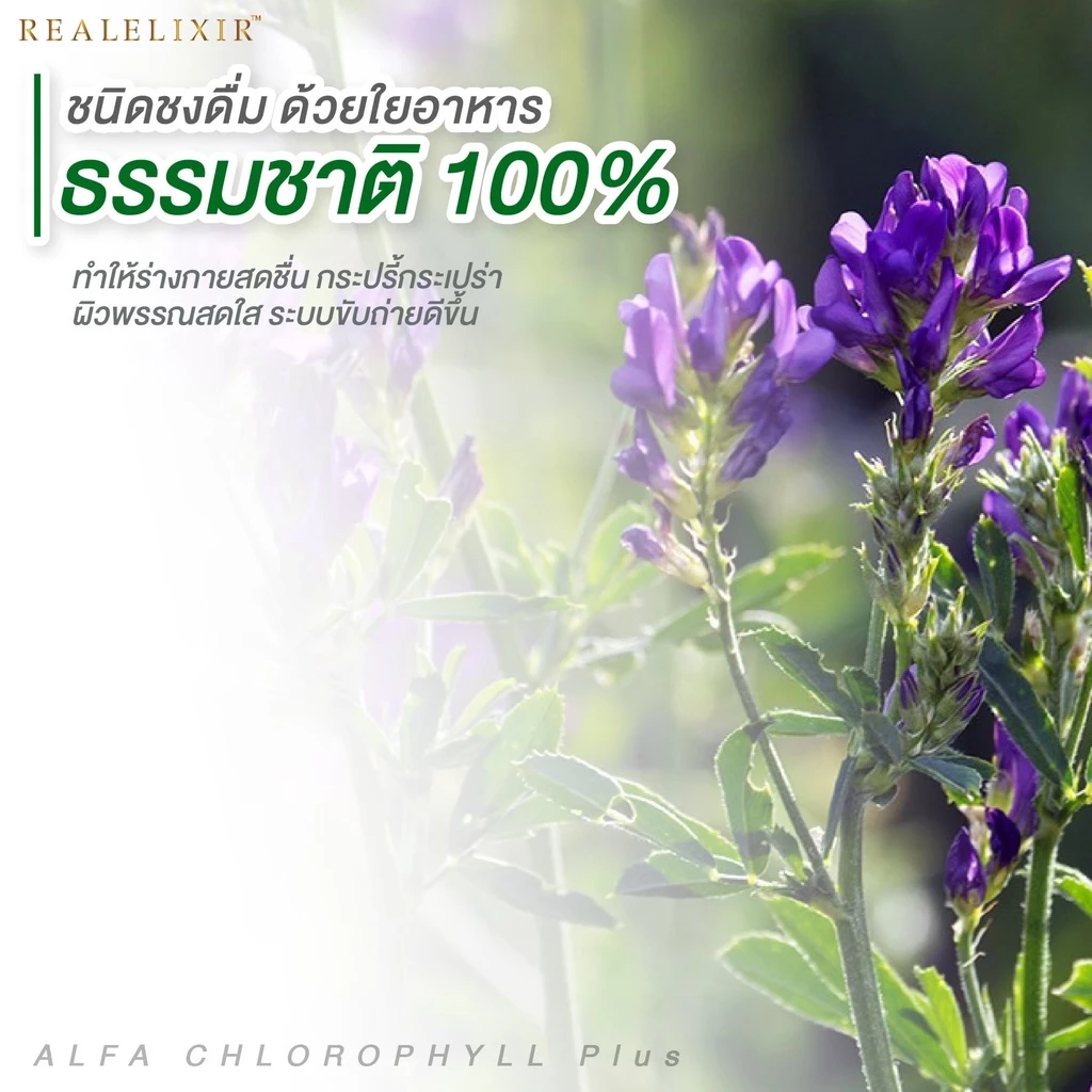 Real Elixir Alfa Chlorophyll Plus ( ซอง 5 กรัม ) 1 ซอง thumbnail 4
