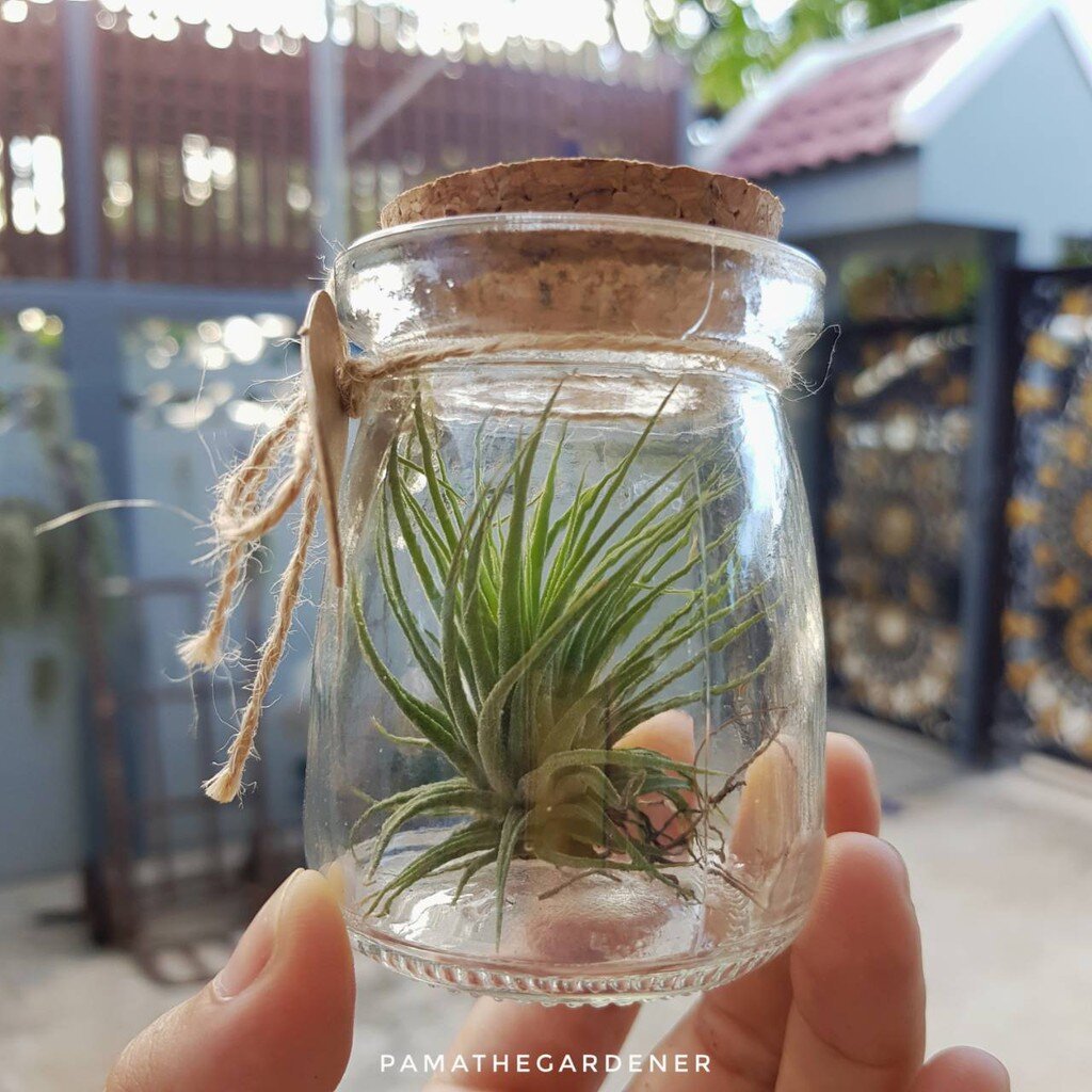 มุมมอง 3