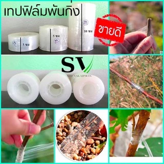 เทปพันกิ่ง ฟิล์มพันกิ่ง กว้าง 3,5,10 ซม แกนพลาสติก ยาว 200 เมตร เทปยืดได้อีกเท่าตัว เหนียว ไม่มีกาว สำหรับตอนกิ่ง ติดตา