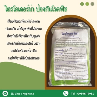 ไตรโคเดอร์ม่า ชีวภัณฑ์ปลอดภัย ต่อ มนุษย์ และ สิ่งแวดล้อม