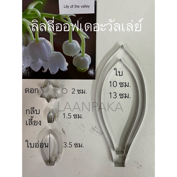 พิมพ์ตัดลิลลี่ออฟเดอะวัลเล่ย์ / เหล็กคลึง / อัดลายใบ
