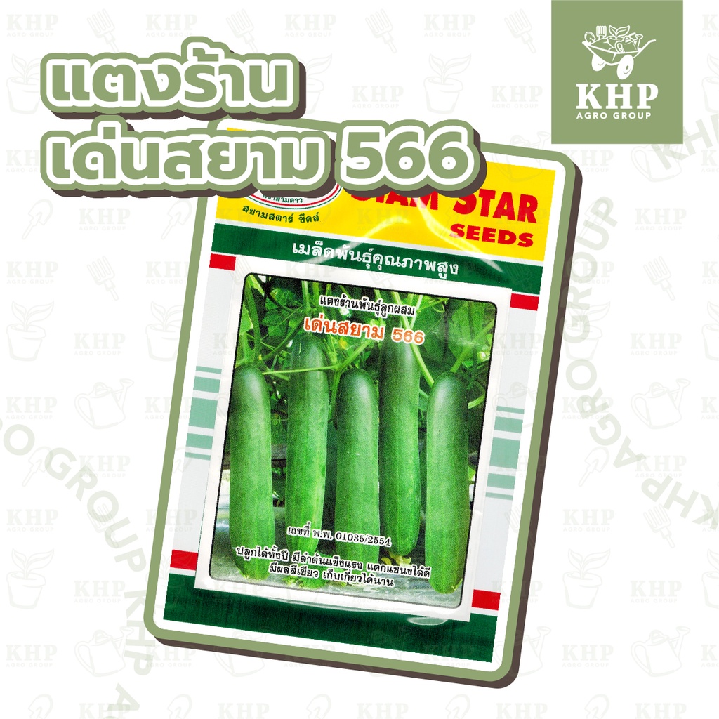 เมล็ดพันธุ์ แตงร้าน 🌟 คัดพิเศษ 🌟 พันธุ์ เด่นสยาม 566 ซองใหญ่ ขนาด 3 กรัม lot.ใหม่