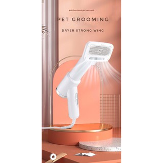 Pet grooming dryer 2 in 1 แปรงหวีไดร์ขนสัตว์เลี้ยง