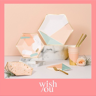 WishYou [พร้อมส่ง] สีพาสเทล ชุดจานกระดาษ แก้ว หลอด ใช้แล้วทิ้ง ปาร์ตี้ ปิกนิก Pastel blue pink disposable utensil plates