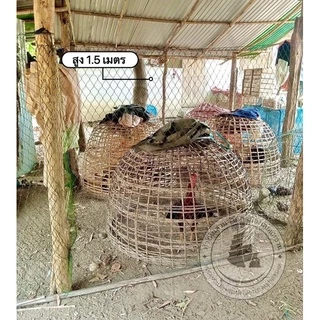 ตาข่ายล้อมไก่ อวนล้อมไก่ ตาข่ายกันนก,กันงู,กันแมว หรือกันสัตว์อื่นๆ