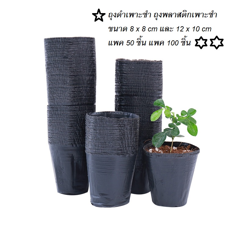 (พร้อมส่ง) ถุงดำเพาะชำ ถุงดำอนุบาลต้นไม้ (ขนาดเล็ก)