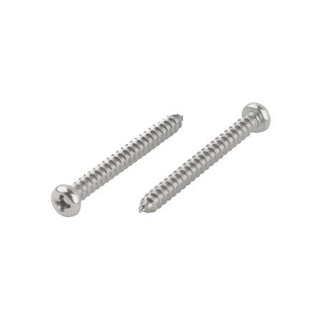 อุปกรณ์ยึดติด สกรูเกลียวปล่อย TP 4X40 มม. 10 ตัว Screws, Nuts &amp; Washers