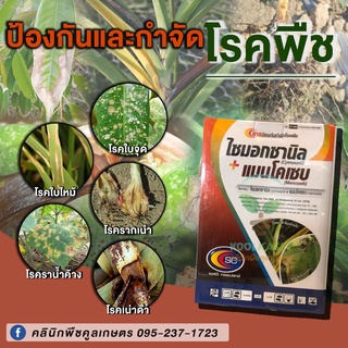 ไซมอกซานิล+ เเมนโคเซบ100กรัม สารป้องกันและกำจัดโรคพืช โรครากเน่า โรคใบไหม้ โรคเน่าดำ คูลเกษตรKF53
