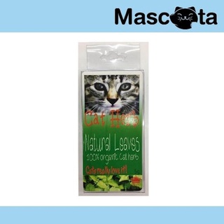 Catnip จรัญกิจ organic 5g.