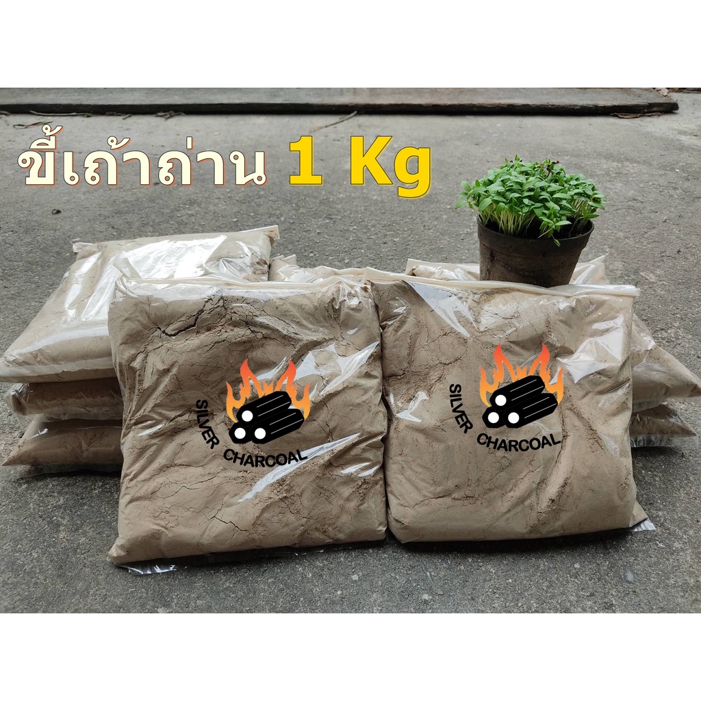 ขี้เถ้าถ่าน 1 ก.ก. (มีสินค้าพร้อมส่ง)