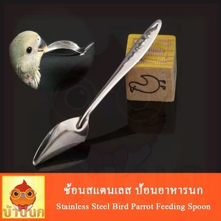 ช้อนป้อนอาหารนก ป้อนลูกนก