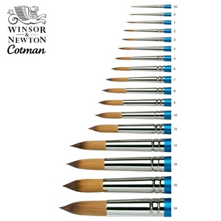 Winsor &amp; Newton Cotman Brush Series 111 Roundพู่กันกลมเกรดพรีเมี่ยมสำหรับสีน้ำ