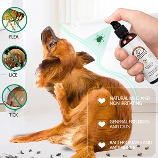 Pet Flea Spray Natural Effective Tick Treatment for Dogs and Cats 100ml / 3.4oz