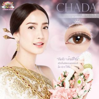 Pretty Doll | Sweety plus ลายใหม่ เลนส์เท่าตา Chada (สีน้ำตาล/เทา)