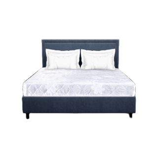 Solomon mattress ที่นอนโฟม+ใย+ฟองน้ำผ้านอก รุ่น Kameria หนา 8 นิ้ว