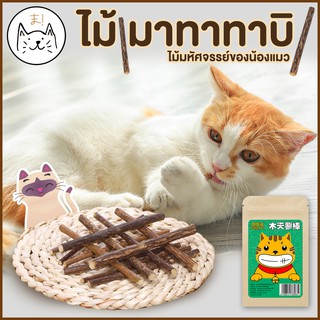 KUMA ま Matatabi ไม้มาทาทาบิ ขัดฟันแมว มาทาบิ สำหรับแมว แคทนิปญี่ปุ่น ไม้แมวเมา ไม้ขัดฟัน ก้านมาทาทาบิ ไม้แปรงฟันแมว