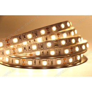 LED Strip เส้น 5050 12V 60 เม็ด/เมตร (5 เมตร) ไฟซ่อนฝ้า ไฟเส้น ไฟ led ไฟตู้โชว์ ไฟติดอาคาร ไฟตกแต่ง ไฟประดับ ไฟริบบิ้น