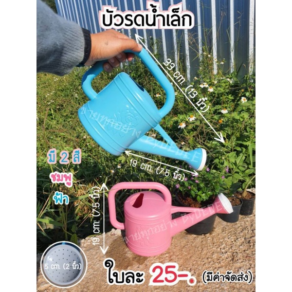 บัวรดน้ำ 005-1 ราคาต่อ1ใบ #สวน #อุปกรณ์รดน้ำต้นไม้ #บัวรดน้ำ #สวนสวย