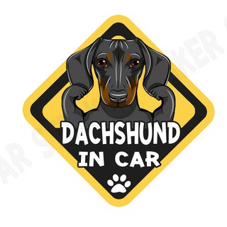 สติกเกอร์ติดรถ สติ๊กเกอร์ติดรถยนต์ สติกเกอร์หมา DGA82  Dachshund dog