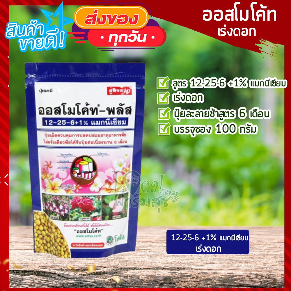 ปุ๋ยแคคตัส (Osmocote) 🌺 ปุ๋ยเร่งดอก ออสโมโค้ท สูตร 12-25-6 ปุ๋ยละลายช้า ปุ๋ยสูตรเสมอ ปุ๋ยออสโมโค้ท ข