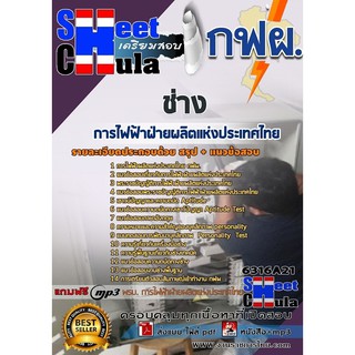 แนวข้อสอบช่าง การไฟฟ้าฝ่ายผลิตแห่งประเทศไทย (กฟผ)