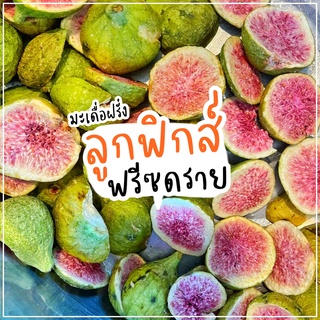 ลูกฟิกส์ ฟรีซดราย (มะเดื่อฝรั่ง) อบแห้งด้วยความเย็น freeze dry figs