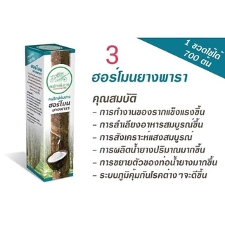 ฮอร์โมนยางพารา✅เพิ่มผลผลิต ✅ลดต้นทุน ✅ประหยัดแรงงาน