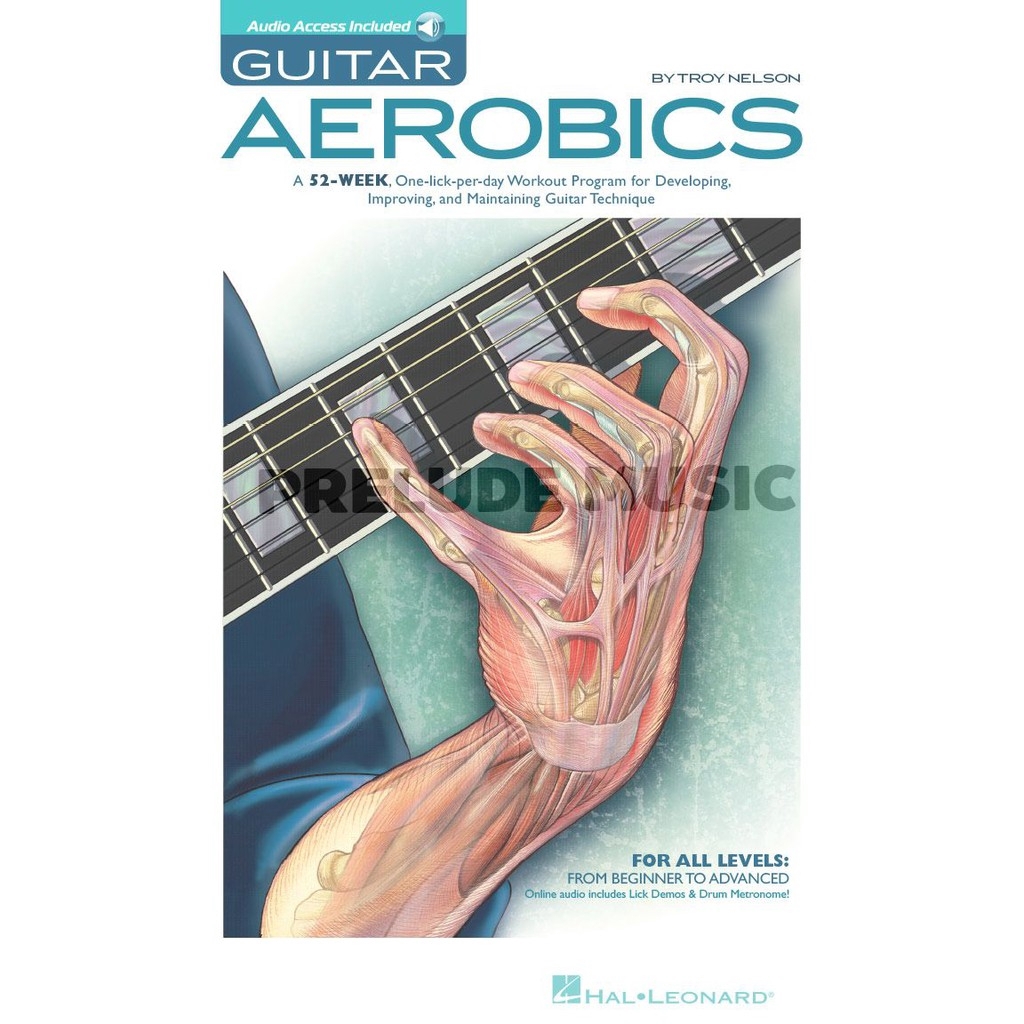 GUITAR AEROBICS A 52-Week, One-Lick-Per-Day Workout Program for Developing, Improving & Maintaining 