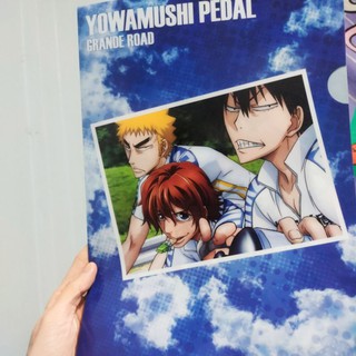 แฟ้ม A4 อนิเมะ การ์ตูน โอตาคุน่องเหล็ก Yowamushi Pedal Anime JAPAN อารากิตะ ชินไค โอตาคุ น่องเหล็ก