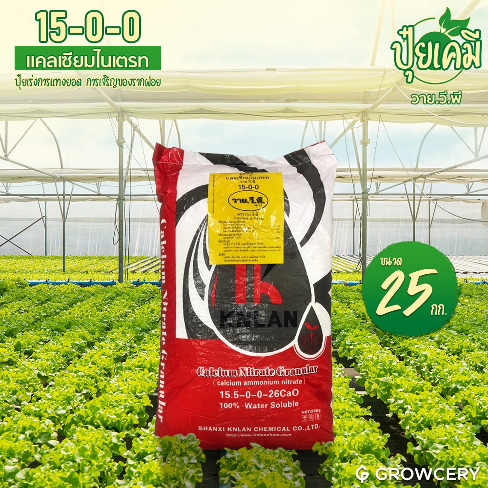 [G] ปุ๋ยเกล็ด 15-0-0 +26.5 Cao แคลเซียมไนเตรท (ปุ๋ยเร่งการแทงยอด การเจริญของรากฝอย) 25 กก. วาย.วี.พี