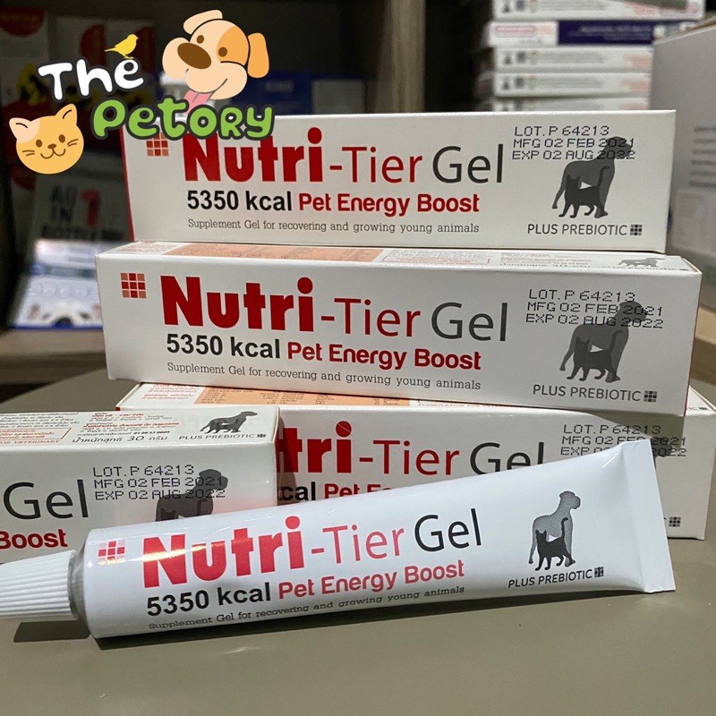 60 อาหารเสริมสุนัข