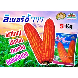 เมล็ดพันธุ์ ข้าวโพดอาหารสัตว์ ลิเบอร์ตี้ 777 (5 กิโลกรัม) เมล็ดพันธ์ข้าวโพดเลี้ยงสัตว์ลูกผสม ขนาด 3 หุน ข้าวโพด