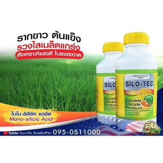 ไซโลเทคไอริน (SILOTECIRIN) สารเสริมความแข็งแรงสำหรับพืช สารละลายซิลิเกต Soluble Silicate ขนาดบรรจุ 1 ลิตร