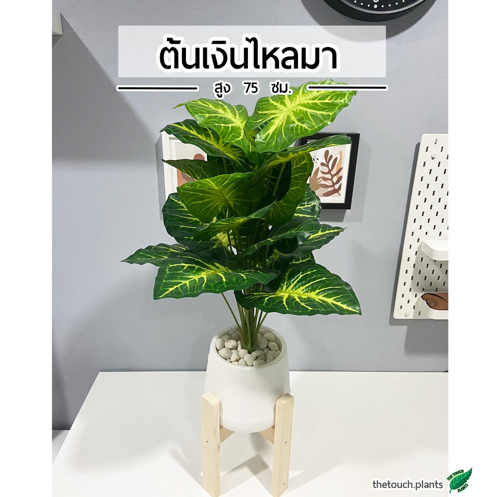 ต้นไม้ปลอม ต้นเงินไหลมา 75 ซม. พร้อมกระถางแหละหินสีขาวครบเซ็ต(75cm)