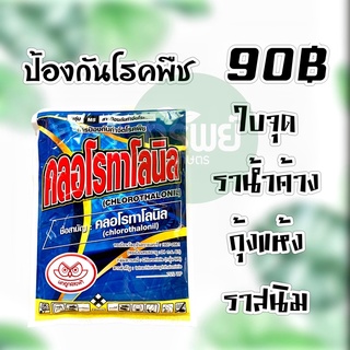 คลอโรทาโลนิล ป้องกันโรคพืช ใบจุด ใบไหม้ ราน้ำค้าง กุ้งแห้ง ราสนิม 100 กรัม #เชื้อรา