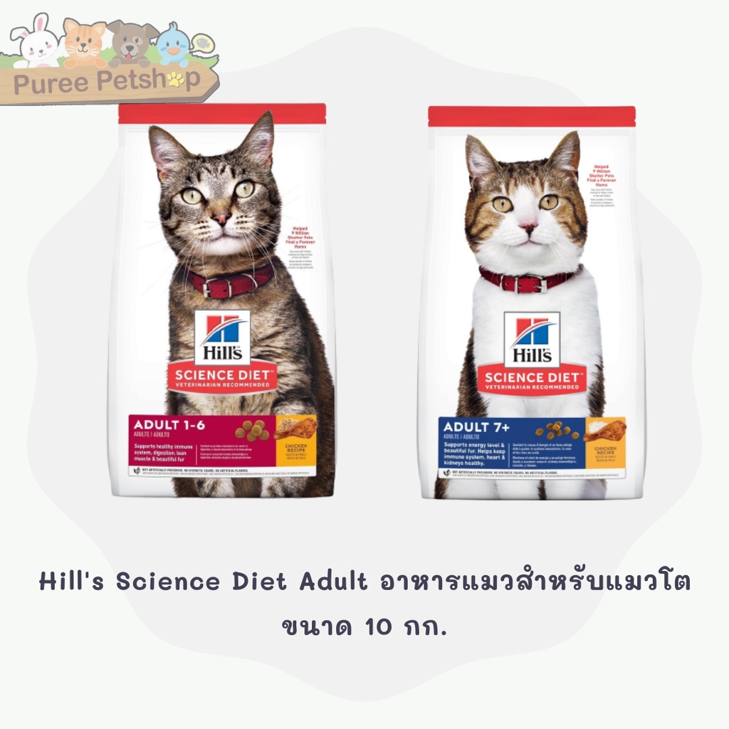 Hill's Science Diet Adult อาหารแมวสำหรับแมวโต ขนาด 10 กก.
