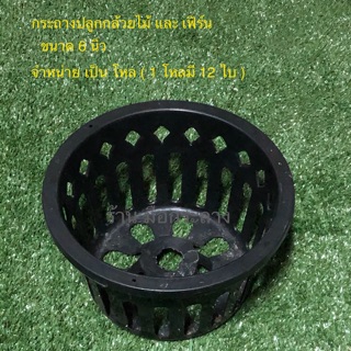 กระถางกล้วยไม้ O ขนาด 6 นิ้ว จำหน่าย เป็น โหล