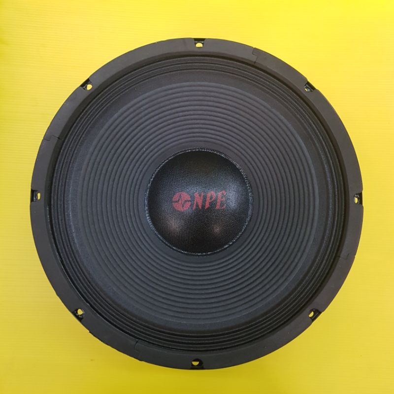 ดอกลำโพง 12 นิ้ว NPE