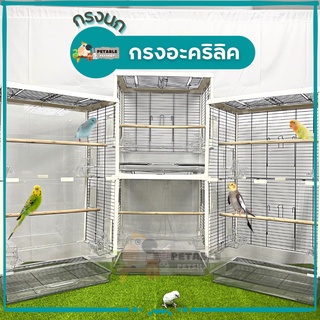 พร้อมส่ง!! PetAble กรงใส กรงอะคริลิค ขนาดใหญ่ สำหรับนกทุกขนาด อุปกรณ์ครบชุด  กรงสัตว์เลี้ยง ฟอพัส